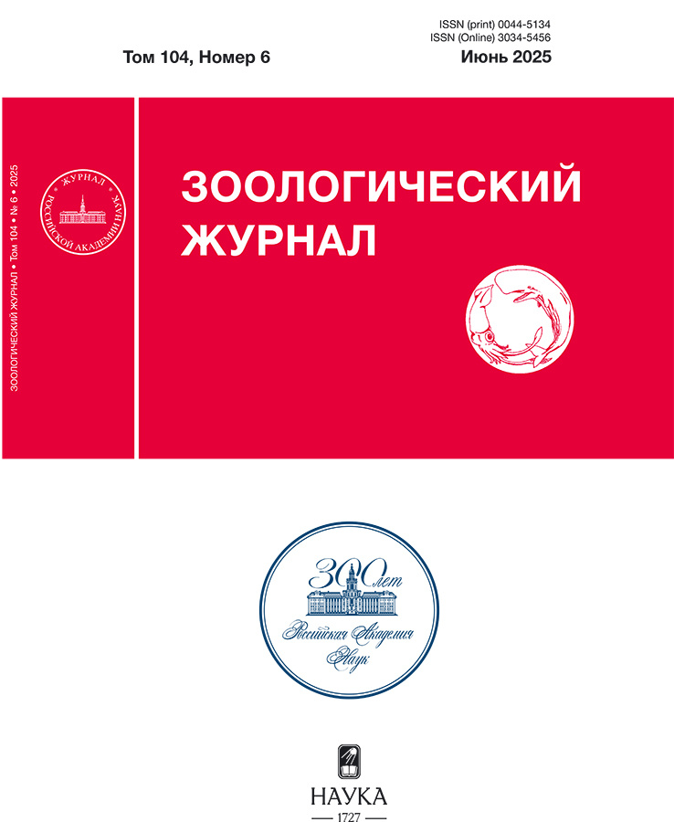 Page Header Logo